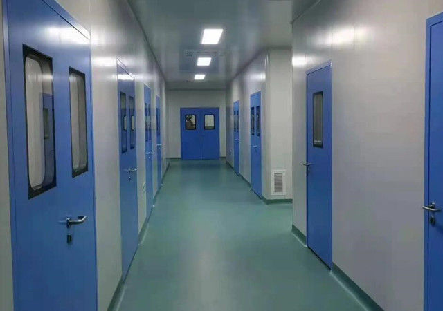 GMPʵ